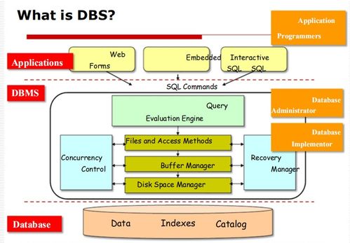數據庫管理系統（DBMS）入門 基礎概念、目標與應用